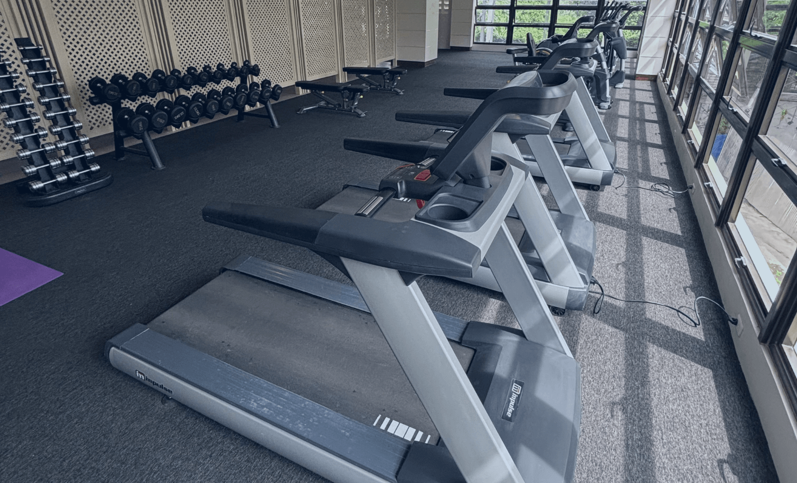 無料で利用できるジム