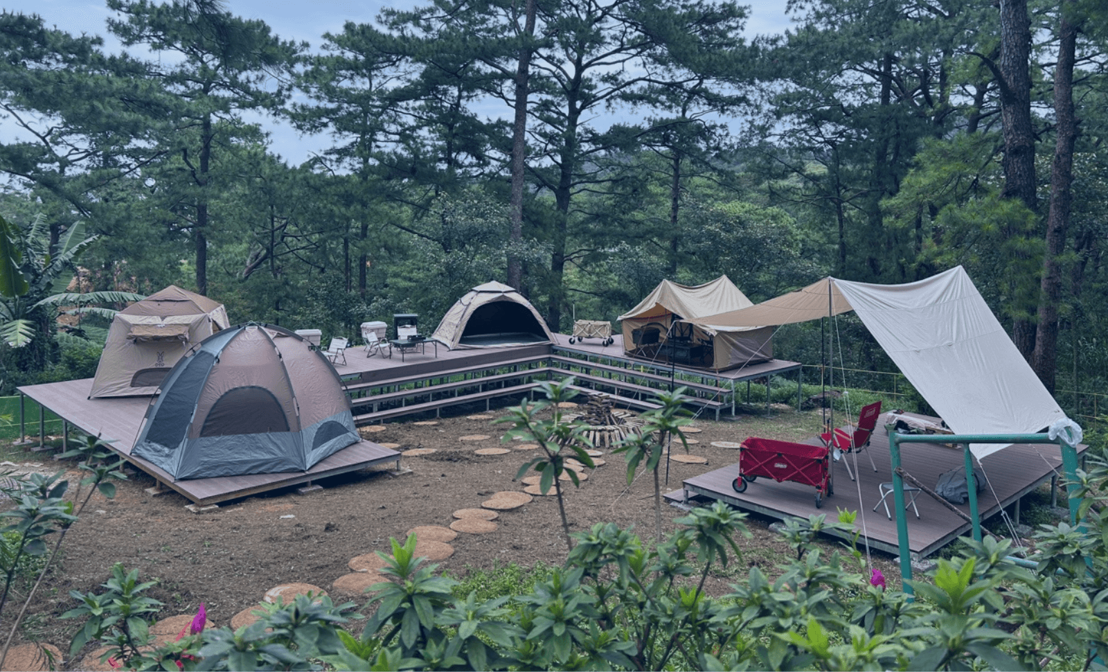 学内キャンプ場