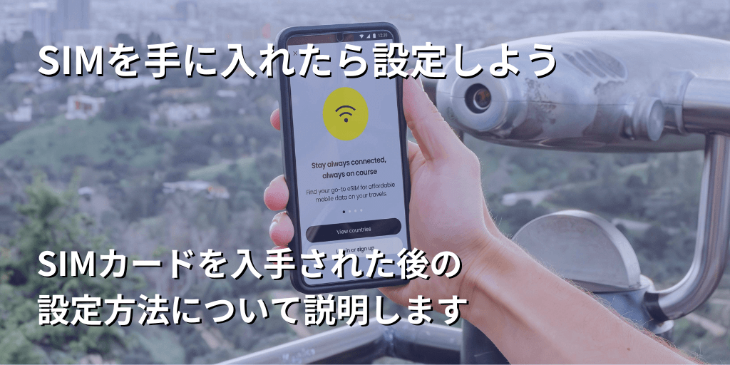SIMを手に入れたら設定しよう